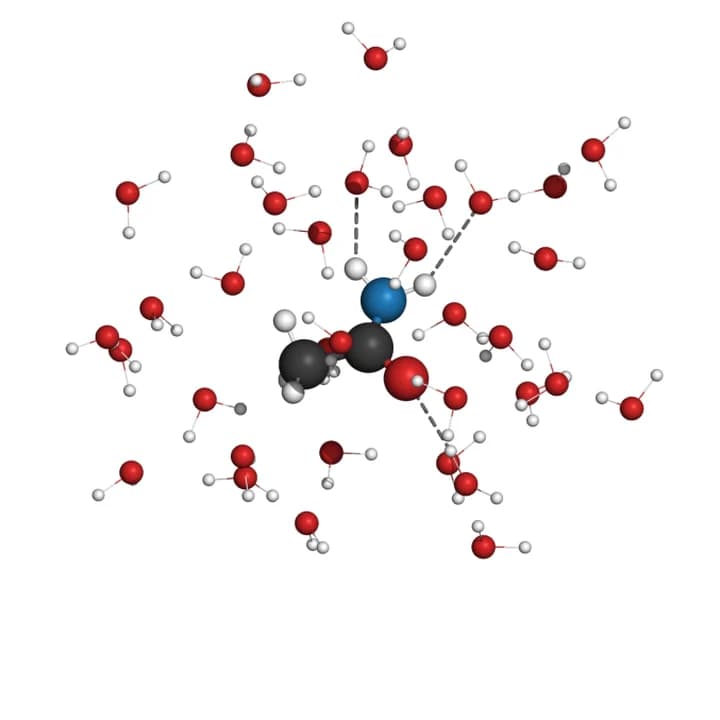 乙酰胺: 溶质分子及其第一水合层水分子的球棍模型渲染图